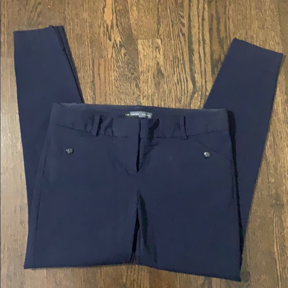 The Limited Exact Stretch Pants